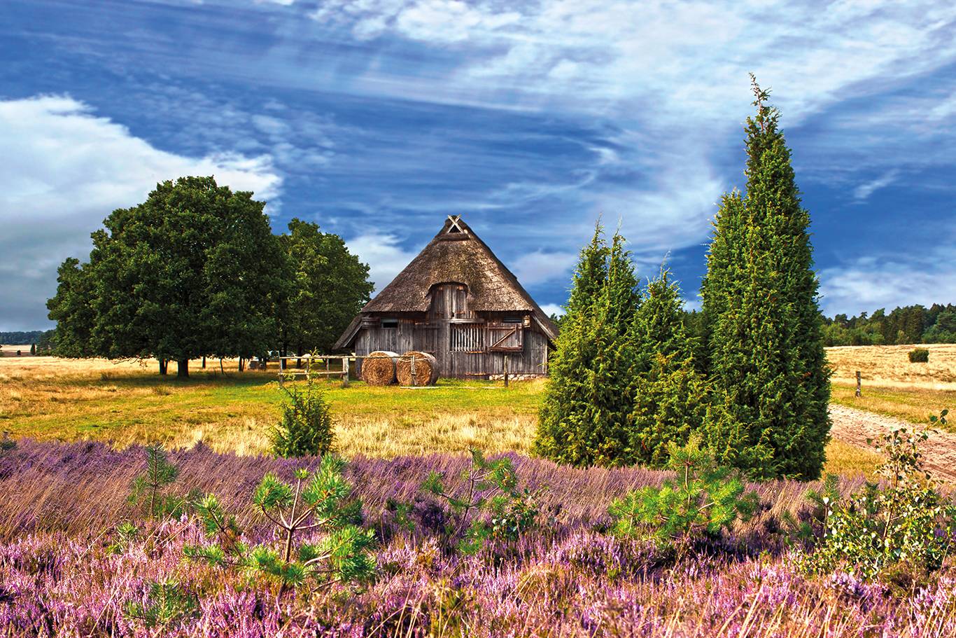 Lüneburger Heide